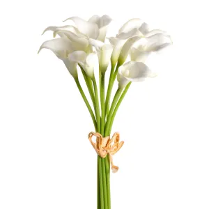 Mini Calla Lily Bundle, Cream