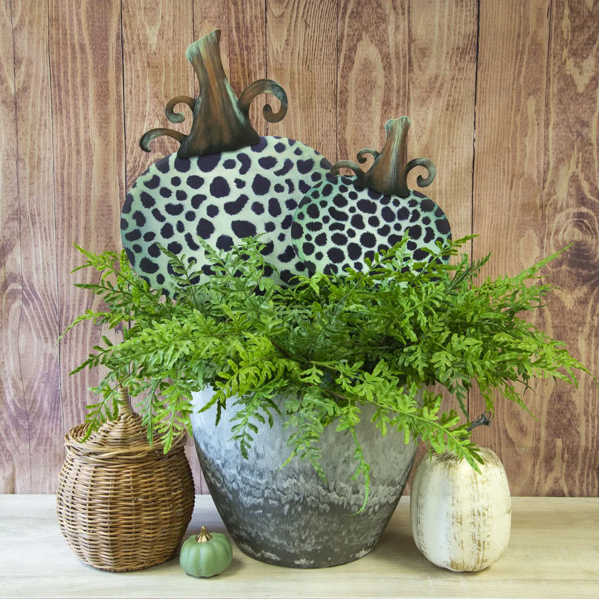 Mint Leopard Pumpkin, Large & Small