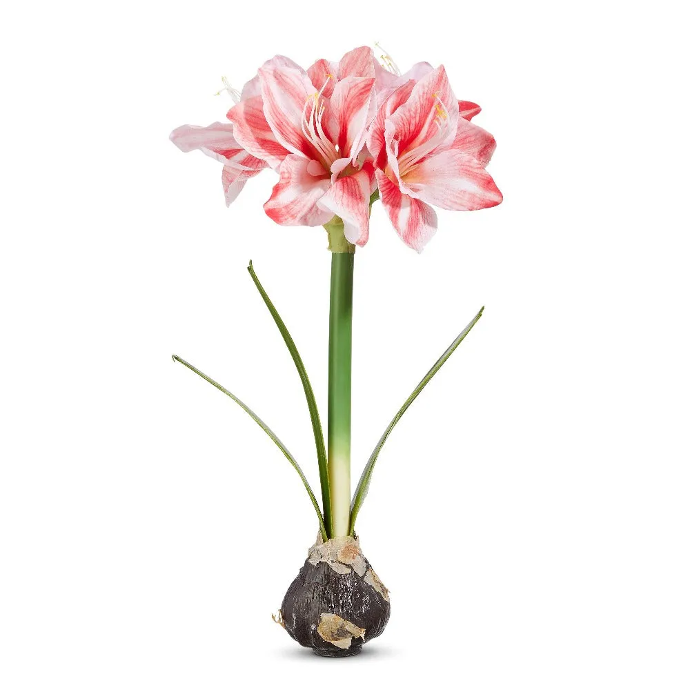 Real Touch Amaryllis Bulb