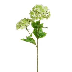 Real Touch Green Hydrangea Spray, 19"