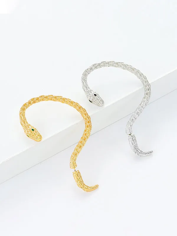 Snake Shape Earhook Earrings