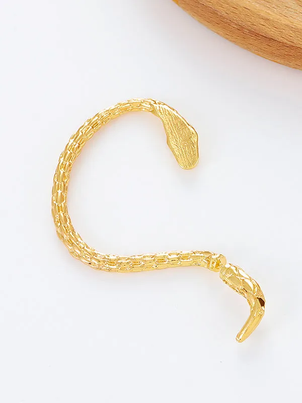 Snake Shape Earhook Earrings